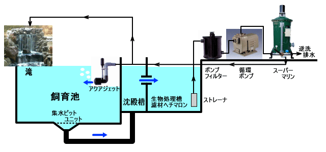 集水ピット ボトムドレン
