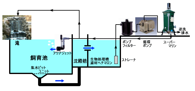 集水ピット　 ボトムドレン